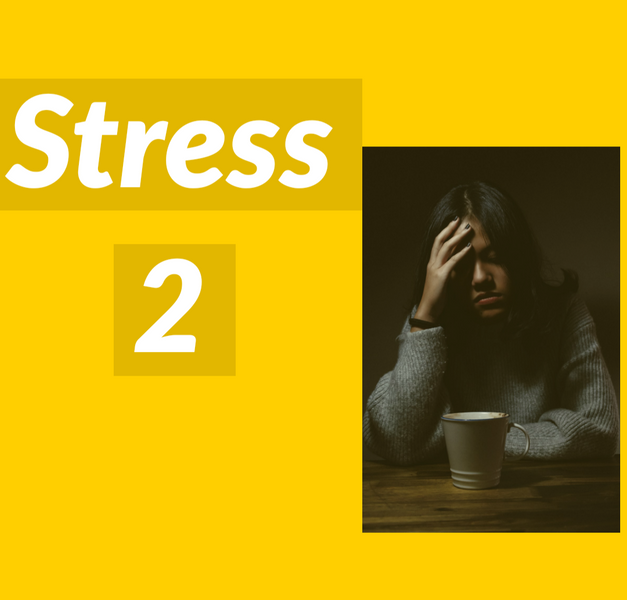 Mental Health Series: Stress Part 2