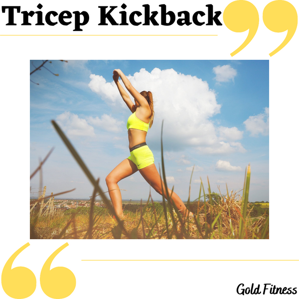 Types of Tricep Kickbacks